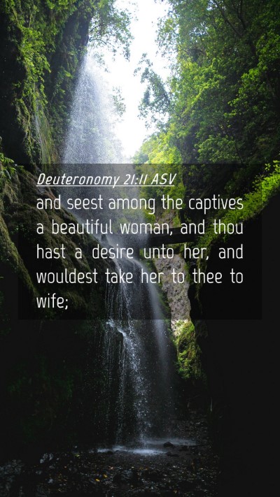 Picture 04 - Deuteronomy 21:11 ASV Mobile Phone Wallpaper - and seest among the captives a beautiful woman, - Mobile Bible Verse Wallpaper