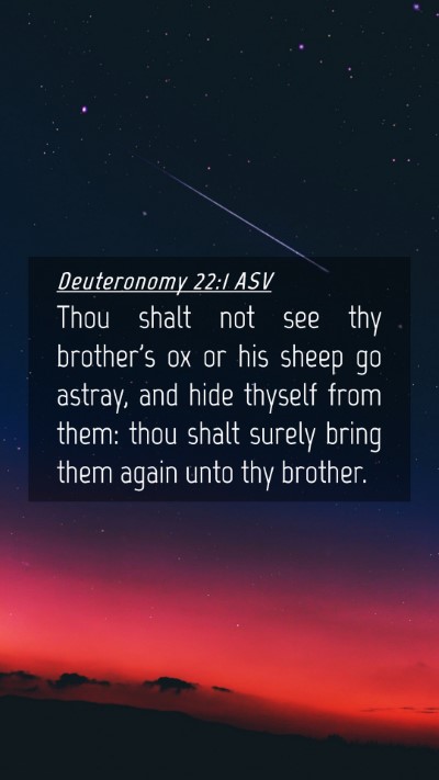 Picture 04 - Deuteronomy 22:1 ASV Mobile Phone Wallpaper - Thou shalt not see thy brother's ox or his sheep - Mobile Bible Verse Wallpaper