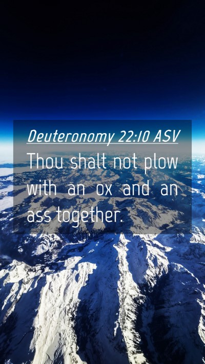 Picture 04 - Deuteronomy 22:10 ASV Mobile Phone Wallpaper - Thou shalt not plow with an ox and an ass - Mobile Bible Verse Wallpaper