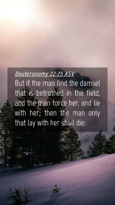 Picture 04 - Deuteronomy 22:25 ASV Mobile Phone Wallpaper - But if the man find the damsel that is betrothed - Mobile Bible Verse Wallpaper