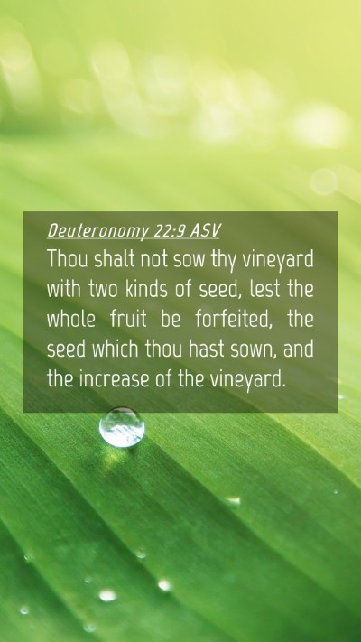 Picture 04 - Deuteronomy 22:9 ASV Mobile Phone Wallpaper - Thou shalt not sow thy vineyard with two kinds of - Mobile Bible Verse Wallpaper