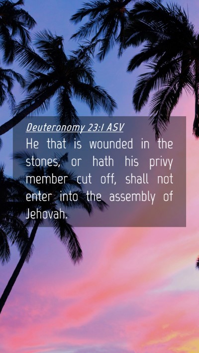 Picture 04 - Deuteronomy 23:1 ASV Mobile Phone Wallpaper - He that is wounded in the stones, or hath his - Mobile Bible Verse Wallpaper