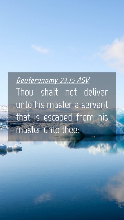 Picture 04 - Deuteronomy 23:15 ASV Mobile Phone Wallpaper - Thou shalt not deliver unto his master a servant - Mobile Bible Verse Wallpaper