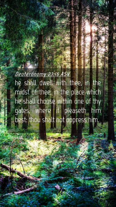 Picture 04 - Deuteronomy 23:16 ASV Mobile Phone Wallpaper - he shall dwell with thee, in the midst of thee, - Mobile Bible Verse Wallpaper