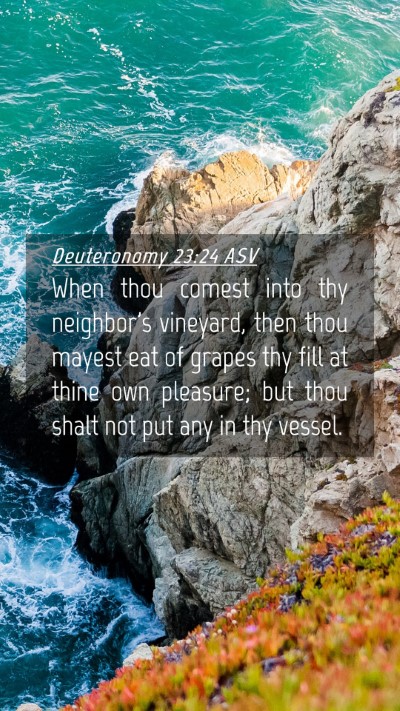 Picture 04 - Deuteronomy 23:24 ASV Mobile Phone Wallpaper - When thou comest into thy neighbor's vineyard, - Mobile Bible Verse Wallpaper