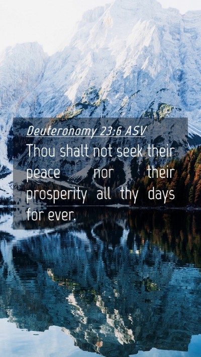 Picture 04 - Deuteronomy 23:6 ASV Mobile Phone Wallpaper - Thou shalt not seek their peace nor their - Mobile Bible Verse Wallpaper