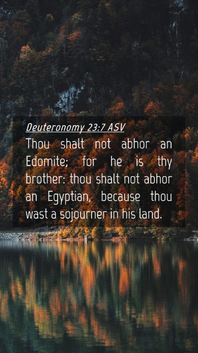 Picture 04 - Deuteronomy 23:7 ASV Mobile Phone Wallpaper - Thou shalt not abhor an Edomite; for he is thy - Mobile Bible Verse Wallpaper