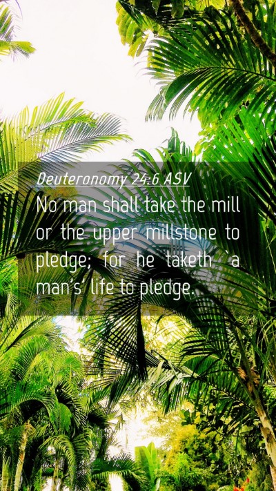 Picture 04 - Deuteronomy 24:6 ASV Mobile Phone Wallpaper - No man shall take the mill or the upper millstone - Mobile Bible Verse Wallpaper