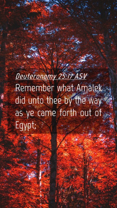 Picture 04 - Deuteronomy 25:17 ASV Mobile Phone Wallpaper - Remember what Amalek did unto thee by the way as - Mobile Bible Verse Wallpaper