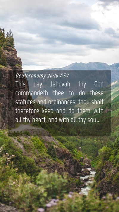 Picture 04 - Deuteronomy 26:16 ASV Mobile Phone Wallpaper - This day Jehovah thy God commandeth thee to do - Mobile Bible Verse Wallpaper