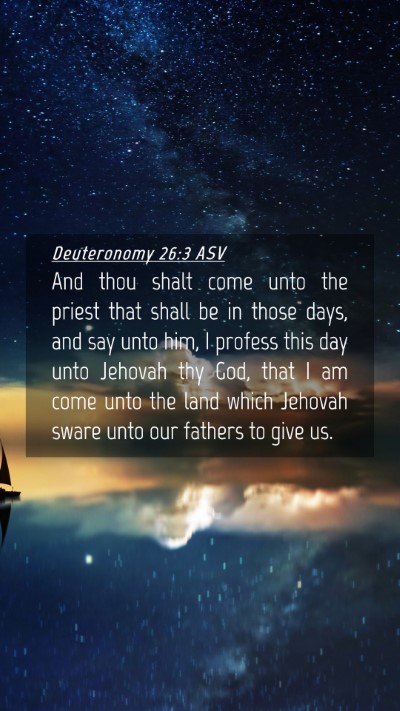 Picture 04 - Deuteronomy 26:3 ASV Mobile Phone Wallpaper - And thou shalt come unto the priest that shall be - Mobile Bible Verse Wallpaper