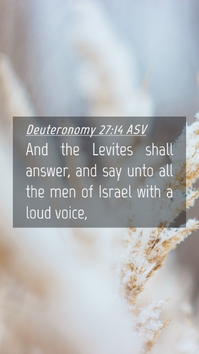 Picture 04 - Deuteronomy 27:14 ASV Mobile Phone Wallpaper - And the Levites shall answer, and say unto all - Mobile Bible Verse Wallpaper