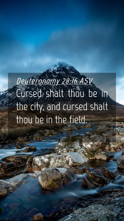 Picture 04 - Deuteronomy 28:16 ASV Mobile Phone Wallpaper - Cursed shalt thou be in the city, and cursed - Mobile Bible Verse Wallpaper