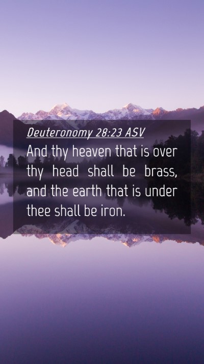 Picture 04 - Deuteronomy 28:23 ASV Mobile Phone Wallpaper - And thy heaven that is over thy head shall be - Mobile Bible Verse Wallpaper