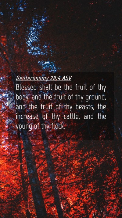 Picture 04 - Deuteronomy 28:4 ASV Mobile Phone Wallpaper - Blessed shall be the fruit of thy body, and the - Mobile Bible Verse Wallpaper