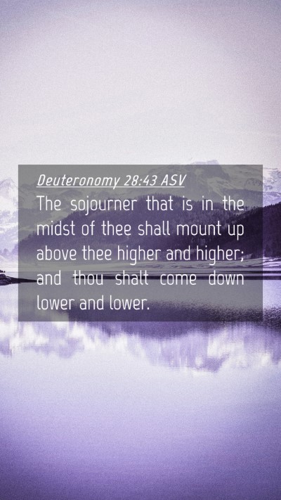 Picture 04 - Deuteronomy 28:43 ASV Mobile Phone Wallpaper - The sojourner that is in the midst of thee shall - Mobile Bible Verse Wallpaper