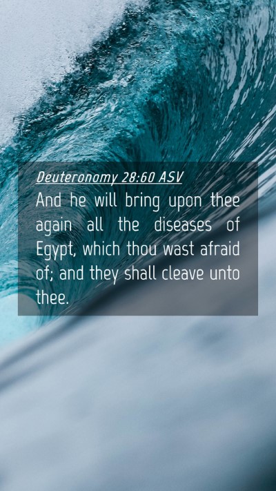 Picture 04 - Deuteronomy 28:60 ASV Mobile Phone Wallpaper - And he will bring upon thee again all the - Mobile Bible Verse Wallpaper