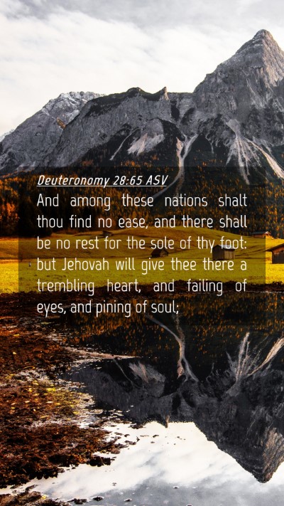 Picture 04 - Deuteronomy 28:65 ASV Mobile Phone Wallpaper - And among these nations shalt thou find no ease, - Mobile Bible Verse Wallpaper