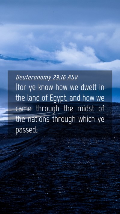 Picture 04 - Deuteronomy 29:16 ASV Mobile Phone Wallpaper - (for ye know how we dwelt in the land of Egypt, - Mobile Bible Verse Wallpaper