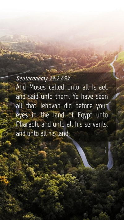 Picture 04 - Deuteronomy 29:2 ASV Mobile Phone Wallpaper - And Moses called unto all Israel, and said unto - Mobile Bible Verse Wallpaper