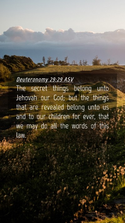Picture 04 - Deuteronomy 29:29 ASV Mobile Phone Wallpaper - The secret things belong unto Jehovah our God; - Mobile Bible Verse Wallpaper