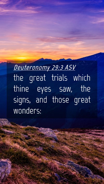 Picture 04 - Deuteronomy 29:3 ASV Mobile Phone Wallpaper - the great trials which thine eyes saw, the signs, - Mobile Bible Verse Wallpaper