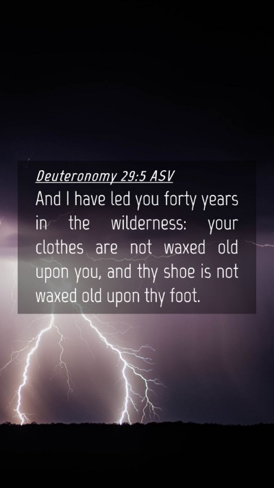 Picture 04 - Deuteronomy 29:5 ASV Mobile Phone Wallpaper - And I have led you forty years in the wilderness: - Mobile Bible Verse Wallpaper