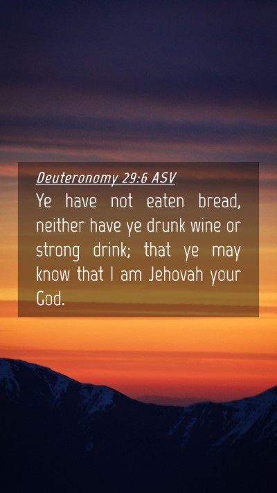 Picture 04 - Deuteronomy 29:6 ASV Mobile Phone Wallpaper - Ye have not eaten bread, neither have ye drunk - Mobile Bible Verse Wallpaper