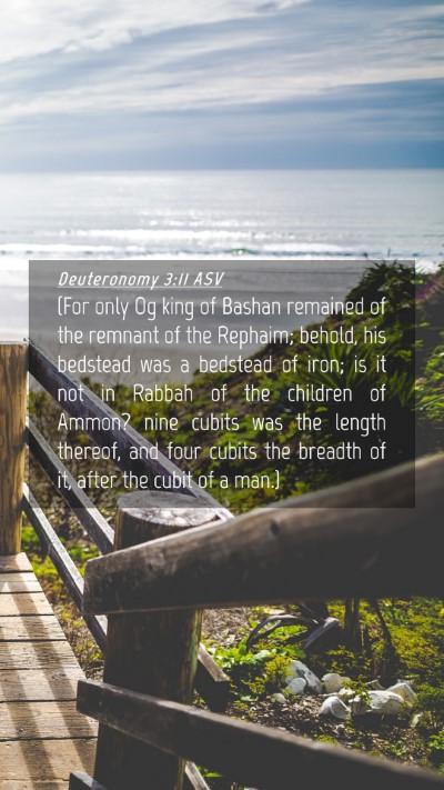 Picture 04 - Deuteronomy 3:11 ASV Mobile Phone Wallpaper - (For only Og king of Bashan remained of the - Mobile Bible Verse Wallpaper