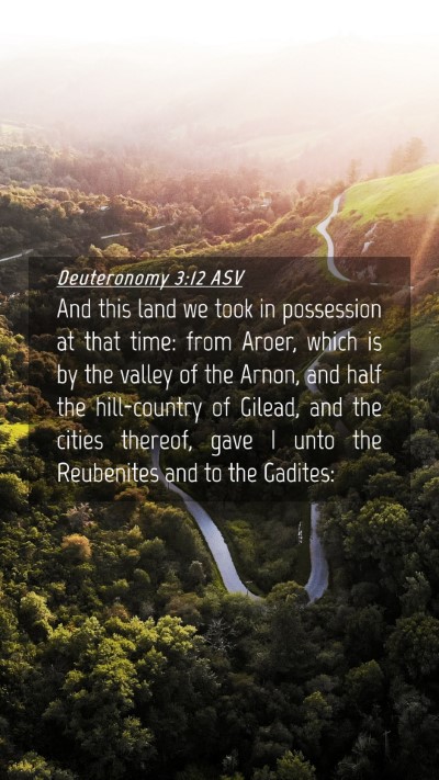 Picture 04 - Deuteronomy 3:12 ASV Mobile Phone Wallpaper - And this land we took in possession at that time: - Mobile Bible Verse Wallpaper
