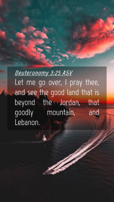 Picture 04 - Deuteronomy 3:25 ASV Mobile Phone Wallpaper - Let me go over, I pray thee, and see the good - Mobile Bible Verse Wallpaper