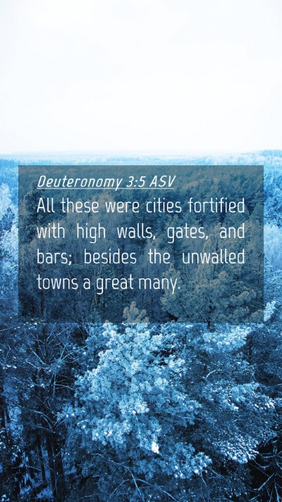 Picture 04 - Deuteronomy 3:5 ASV Mobile Phone Wallpaper - All these were cities fortified with high walls, - Mobile Bible Verse Wallpaper