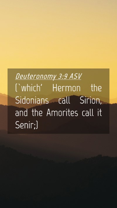 Picture 04 - Deuteronomy 3:9 ASV Mobile Phone Wallpaper - (`which' Hermon the Sidonians call Sirion, and - Mobile Bible Verse Wallpaper