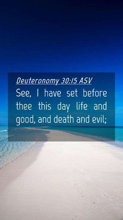 Picture 04 - Deuteronomy 30:15 ASV Mobile Phone Wallpaper - See, I have set before thee this day life and - Mobile Bible Verse Wallpaper