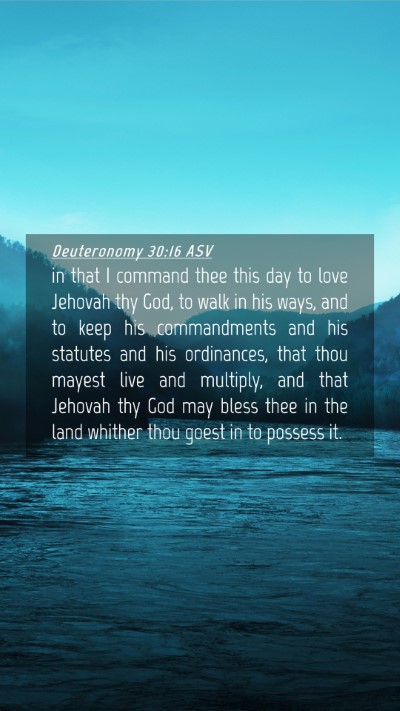 Picture 04 - Deuteronomy 30:16 ASV Mobile Phone Wallpaper - in that I command thee this day to love Jehovah - Mobile Bible Verse Wallpaper