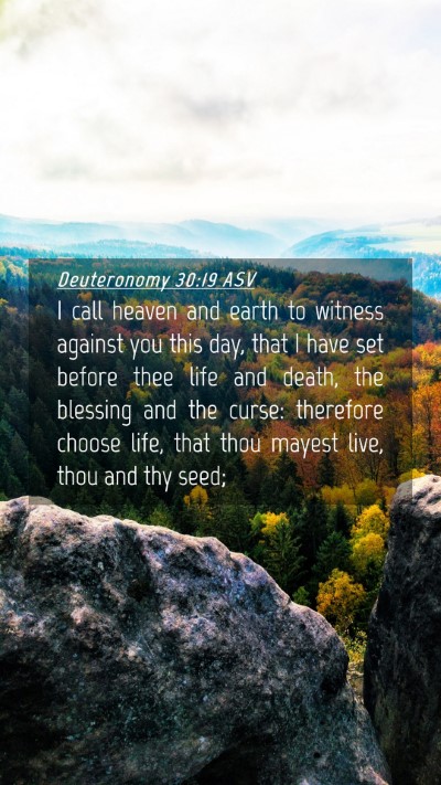 Picture 04 - Deuteronomy 30:19 ASV Mobile Phone Wallpaper - I call heaven and earth to witness against you - Mobile Bible Verse Wallpaper