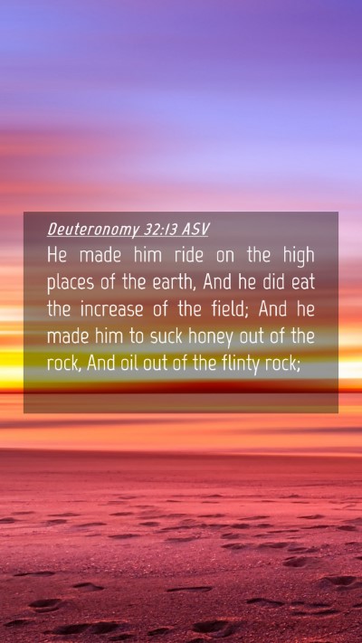 Picture 04 - Deuteronomy 32:13 ASV Mobile Phone Wallpaper - He made him ride on the high places of the earth, - Mobile Bible Verse Wallpaper