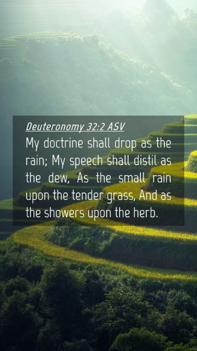Picture 04 - Deuteronomy 32:2 ASV Mobile Phone Wallpaper - My doctrine shall drop as the rain; My speech - Mobile Bible Verse Wallpaper