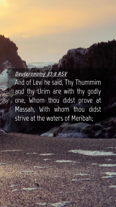 Picture 04 - Deuteronomy 33:8 ASV Mobile Phone Wallpaper - And of Levi he said, Thy Thummim and thy Urim are - Mobile Bible Verse Wallpaper