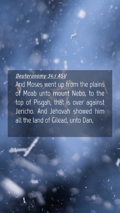 Picture 04 - Deuteronomy 34:1 ASV Mobile Phone Wallpaper - And Moses went up from the plains of Moab unto - Mobile Bible Verse Wallpaper