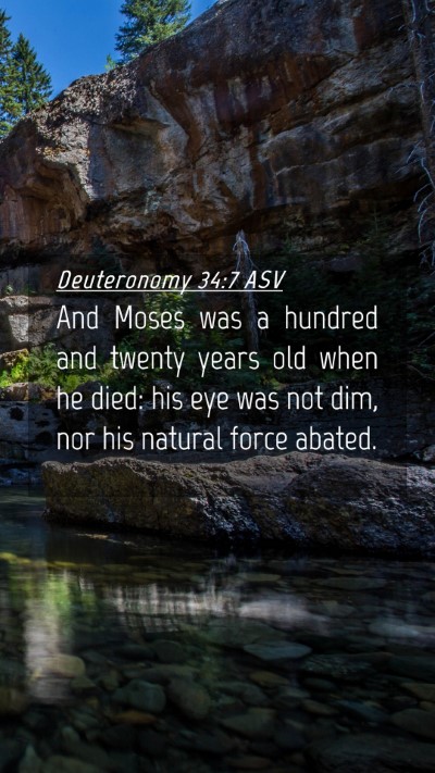 Picture 04 - Deuteronomy 34:7 ASV Mobile Phone Wallpaper - And Moses was a hundred and twenty years old when - Mobile Bible Verse Wallpaper