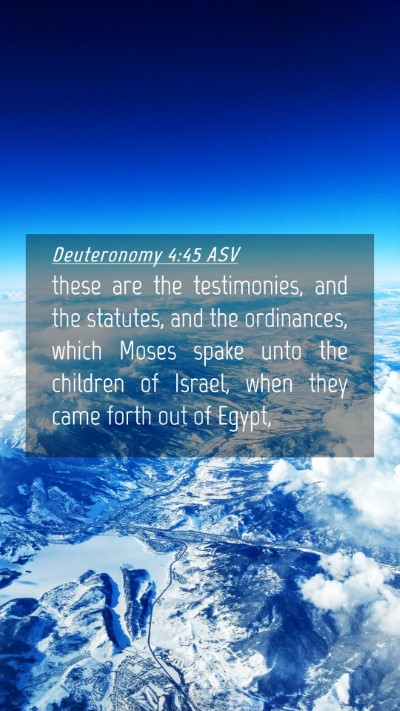 Picture 04 - Deuteronomy 4:45 ASV Mobile Phone Wallpaper - these are the testimonies, and the statutes, and - Mobile Bible Verse Wallpaper