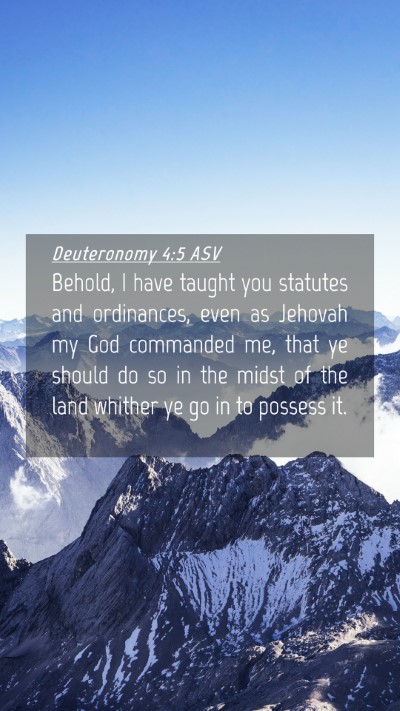 Picture 04 - Deuteronomy 4:5 ASV Mobile Phone Wallpaper - Behold, I have taught you statutes and - Mobile Bible Verse Wallpaper
