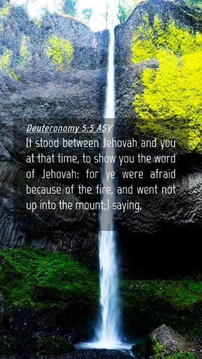 Picture 04 - Deuteronomy 5:5 ASV Mobile Phone Wallpaper - (I stood between Jehovah and you at that time, to - Mobile Bible Verse Wallpaper