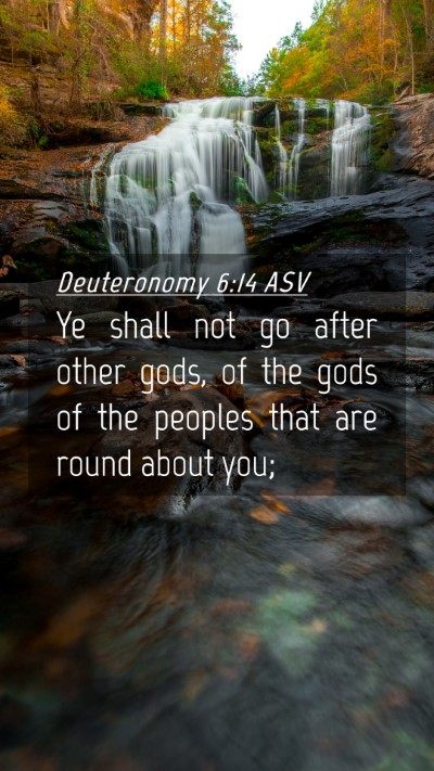 Picture 04 - Deuteronomy 6:14 ASV Mobile Phone Wallpaper - Ye shall not go after other gods, of the gods of - Mobile Bible Verse Wallpaper