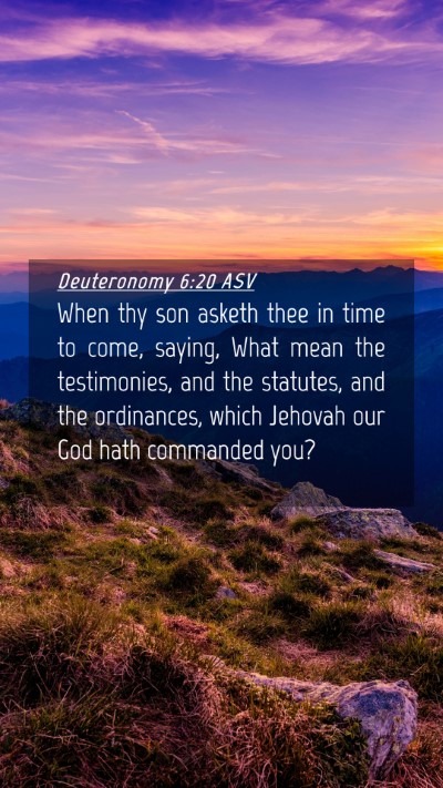 Picture 04 - Deuteronomy 6:20 ASV Mobile Phone Wallpaper - When thy son asketh thee in time to come, saying, - Mobile Bible Verse Wallpaper