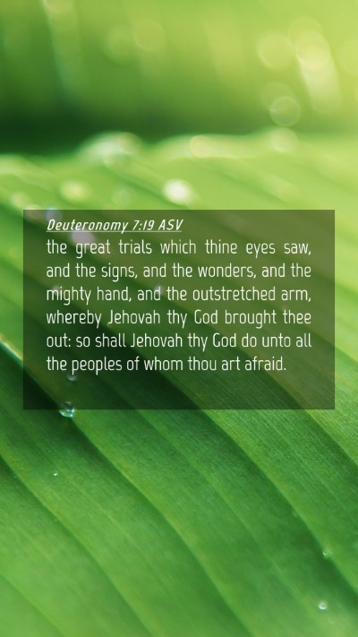 Picture 04 - Deuteronomy 7:19 ASV Mobile Phone Wallpaper - the great trials which thine eyes saw, and the - Mobile Bible Verse Wallpaper