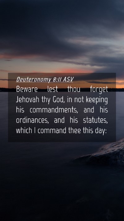 Picture 04 - Deuteronomy 8:11 ASV Mobile Phone Wallpaper - Beware lest thou forget Jehovah thy God, in not - Mobile Bible Verse Wallpaper