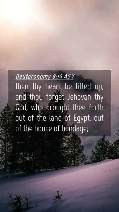 Picture 04 - Deuteronomy 8:14 ASV Mobile Phone Wallpaper - then thy heart be lifted up, and thou forget - Mobile Bible Verse Wallpaper