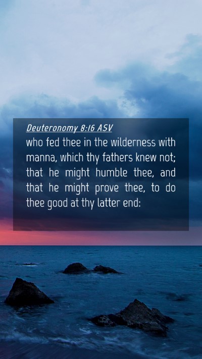 Picture 04 - Deuteronomy 8:16 ASV Mobile Phone Wallpaper - who fed thee in the wilderness with manna, which - Mobile Bible Verse Wallpaper